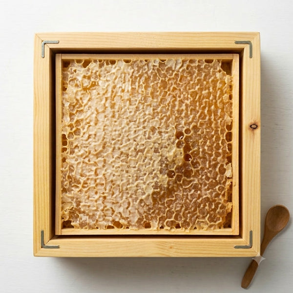 Honeycomb Box